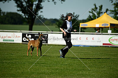 ne pas toucher Aaron