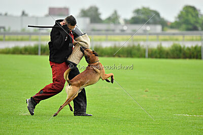 ne pas toucher Aaron