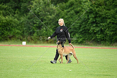 ne pas toucher Ambra