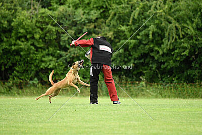 ne pas toucher Amy Winehouse