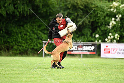 ne pas toucher Amy Winehouse