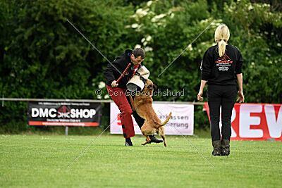 ne pas toucher Amy Winehouse