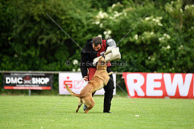 ne pas toucher Amy Winehouse