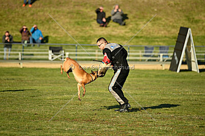 ne pas toucher Amy Winehouse