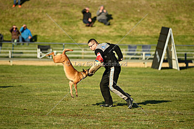 ne pas toucher Amy Winehouse