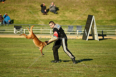 ne pas toucher Amy Winehouse