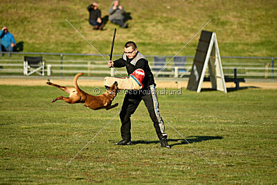 ne pas toucher Amy Winehouse