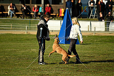 ne pas toucher Amy Winehouse