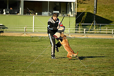 ne pas toucher Amy Winehouse