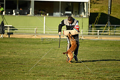 ne pas toucher Amy Winehouse