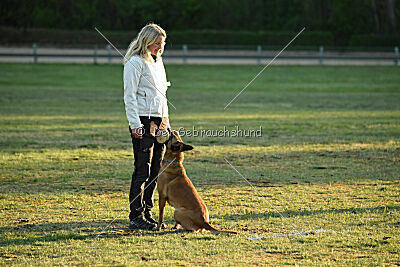 ne pas toucher Amy Winehouse