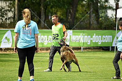 working-dog Frieda