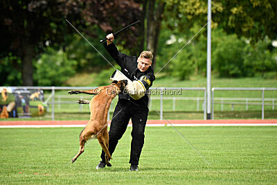 working-dog Frieda