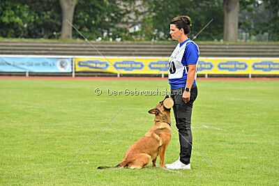 working-dog Gwendolin