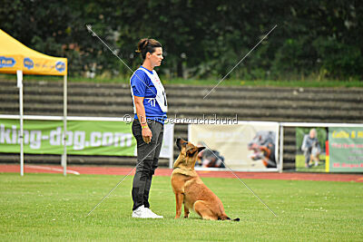 working-dog Gwendolin