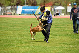 Xyoda vom Further Moor