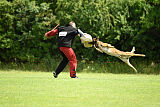 Boomer vom Further Moor