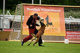 Amadeo vom Blonden Gift
