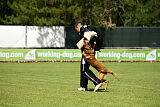 Armstrong Free to Fly