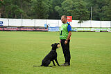 Greif vom Hatzbachtal