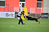 Condor Vikar