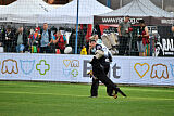 Condor Vikar