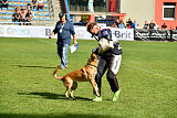Indy vom Causa Nostre Letitia