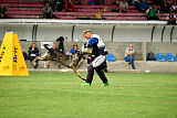 Boris vom R Plus