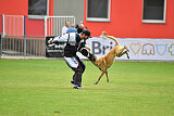 Marax Du Wossel