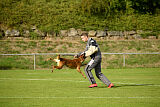 Digger vom Stockborn