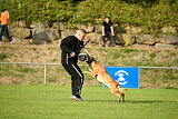 Digger vom Stockborn