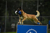 Flash von Malihattan