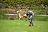 Finni Clever Fox