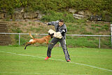 Finni Clever Fox