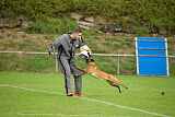 Finni Clever Fox