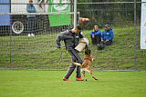 Brianna vom Giannioti Sports Dog