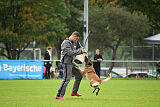 Brianna vom Giannioti Sports Dog