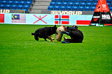 Wilckens Aron