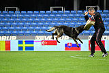 Aman von Clonburg