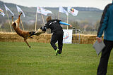 Quenn van de Berlex-Hoeve