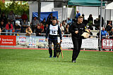 Vito vom Holzhäuser Flur