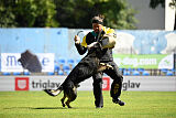 Jakub Sovi mlýn