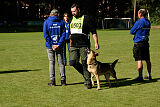 Crazy Canis Invictus