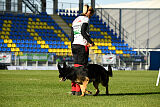 Cor von Starker Wille