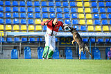Molinaridogs Johnny