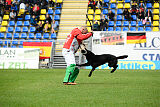 T-Lothar vom Hause Meraner