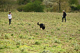 Aramis vom Hopfenbachtal