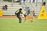 Es-Flindtto's Hasco