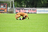 F'Nikita Lobo Grande