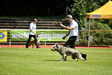 Hasenhirsch Gustl